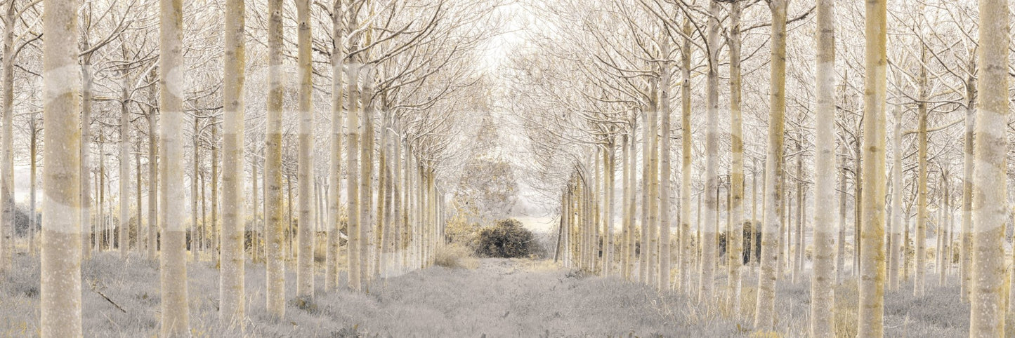 A harmonious statement piece.