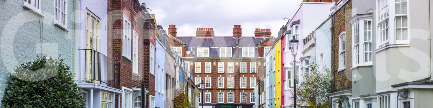 The image feels peaceful and restful, like a quiet day in the park.