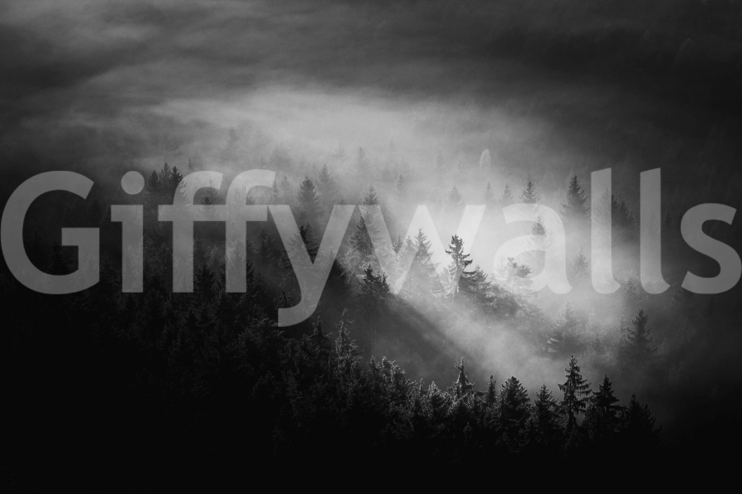 Captivating outdoor wilderness image Luminous Woodland Island Fog decor wallpaper.
