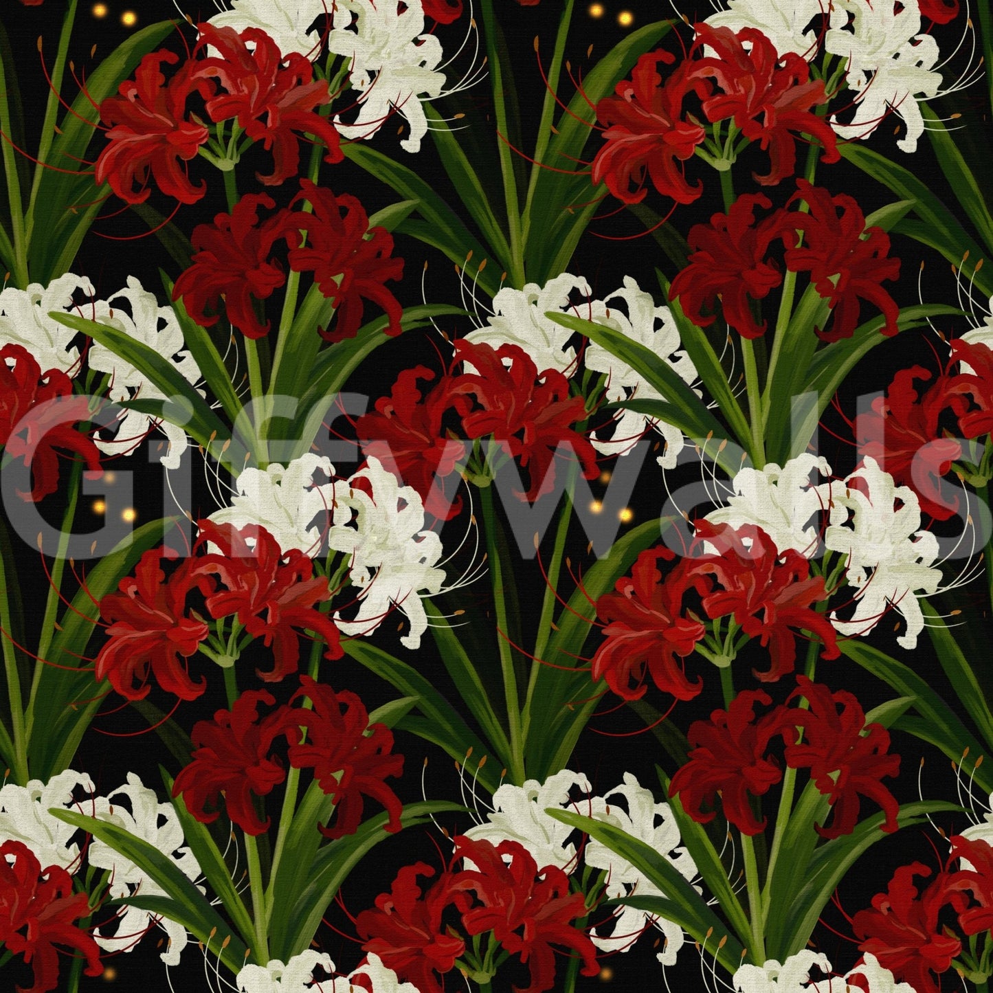 Lycoris Noir Midnight Romance white red flowers bloom Wall Mural