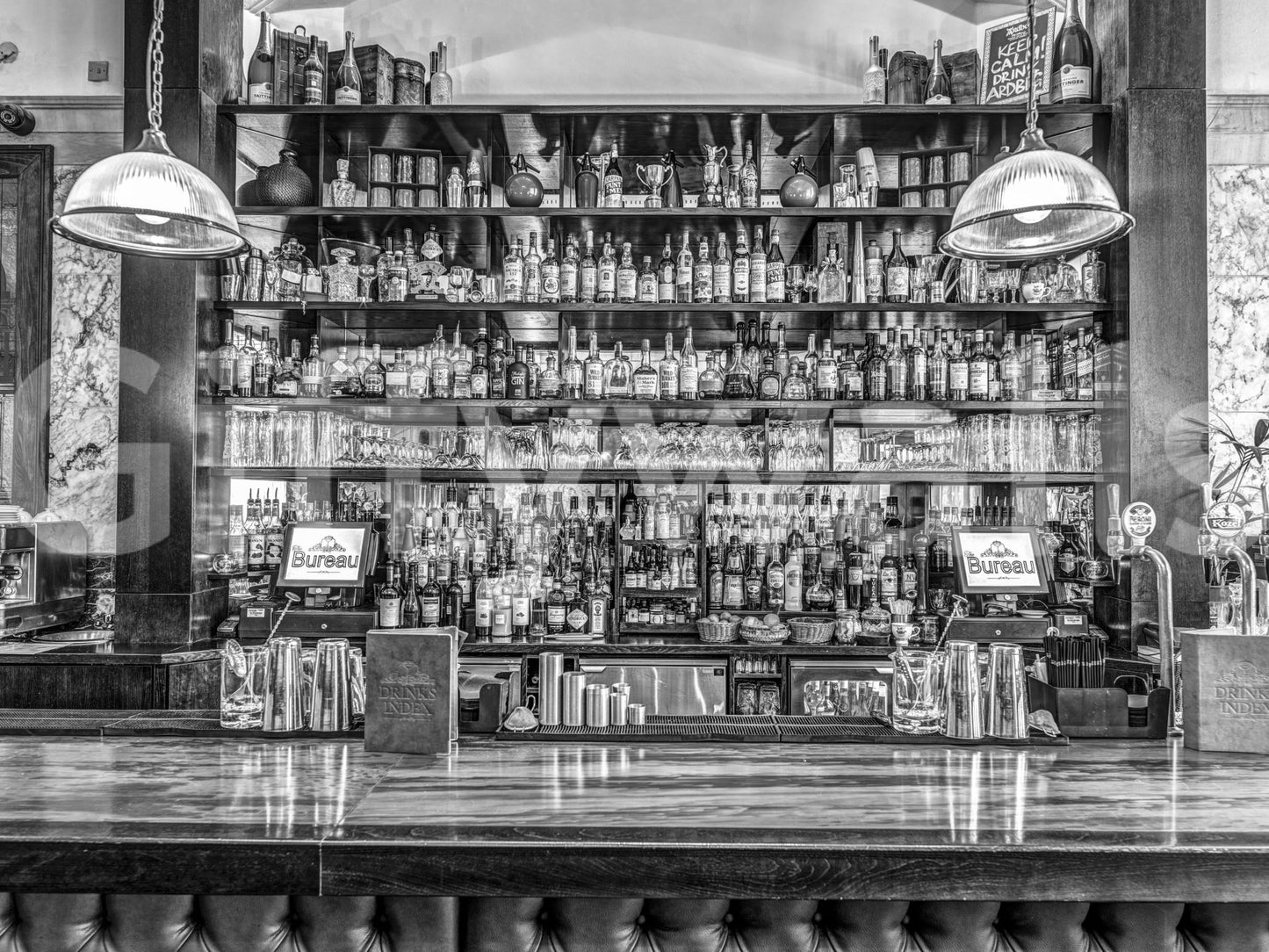 The image feels bold and decorative.