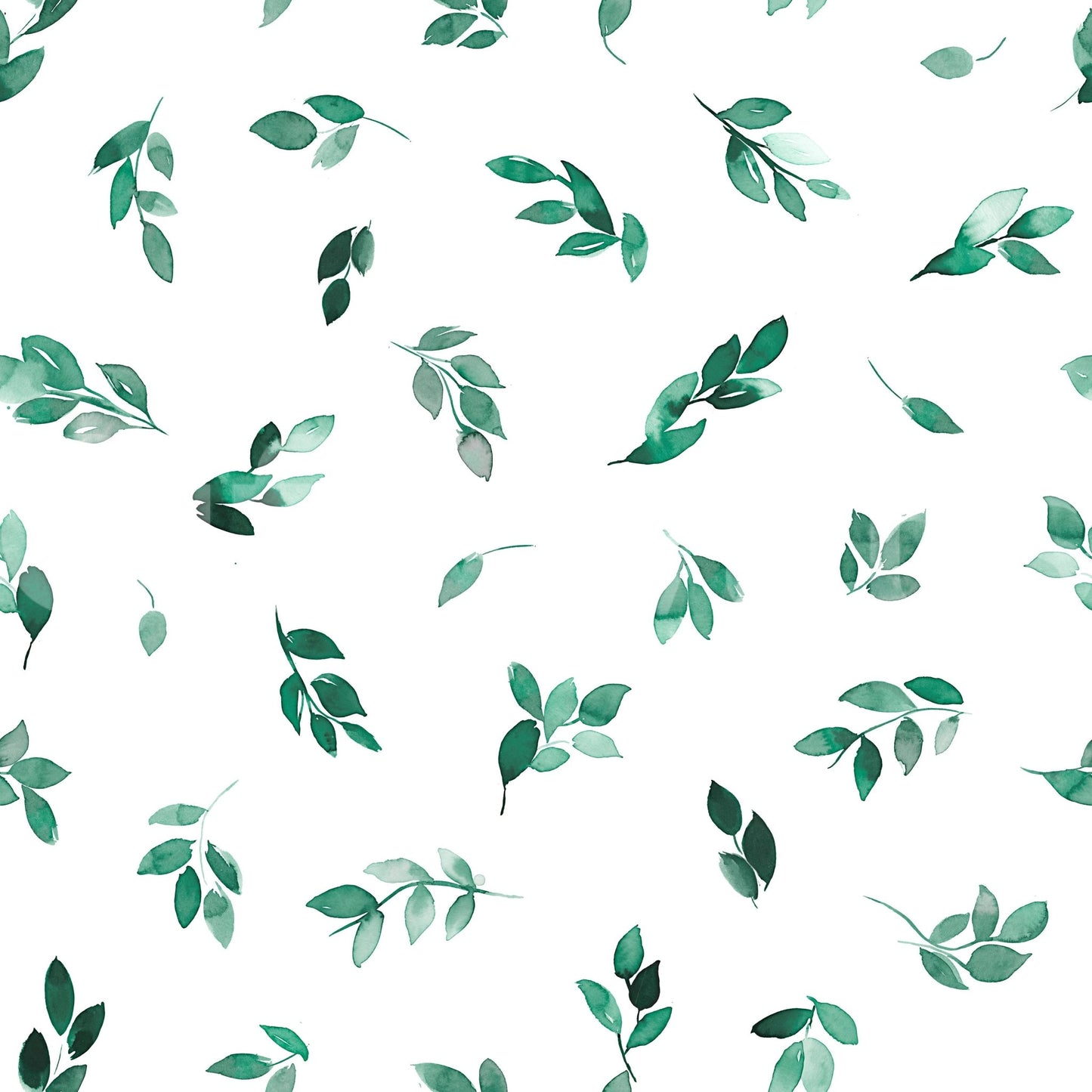 Wallpaper for walls with simple eucalyptus motif