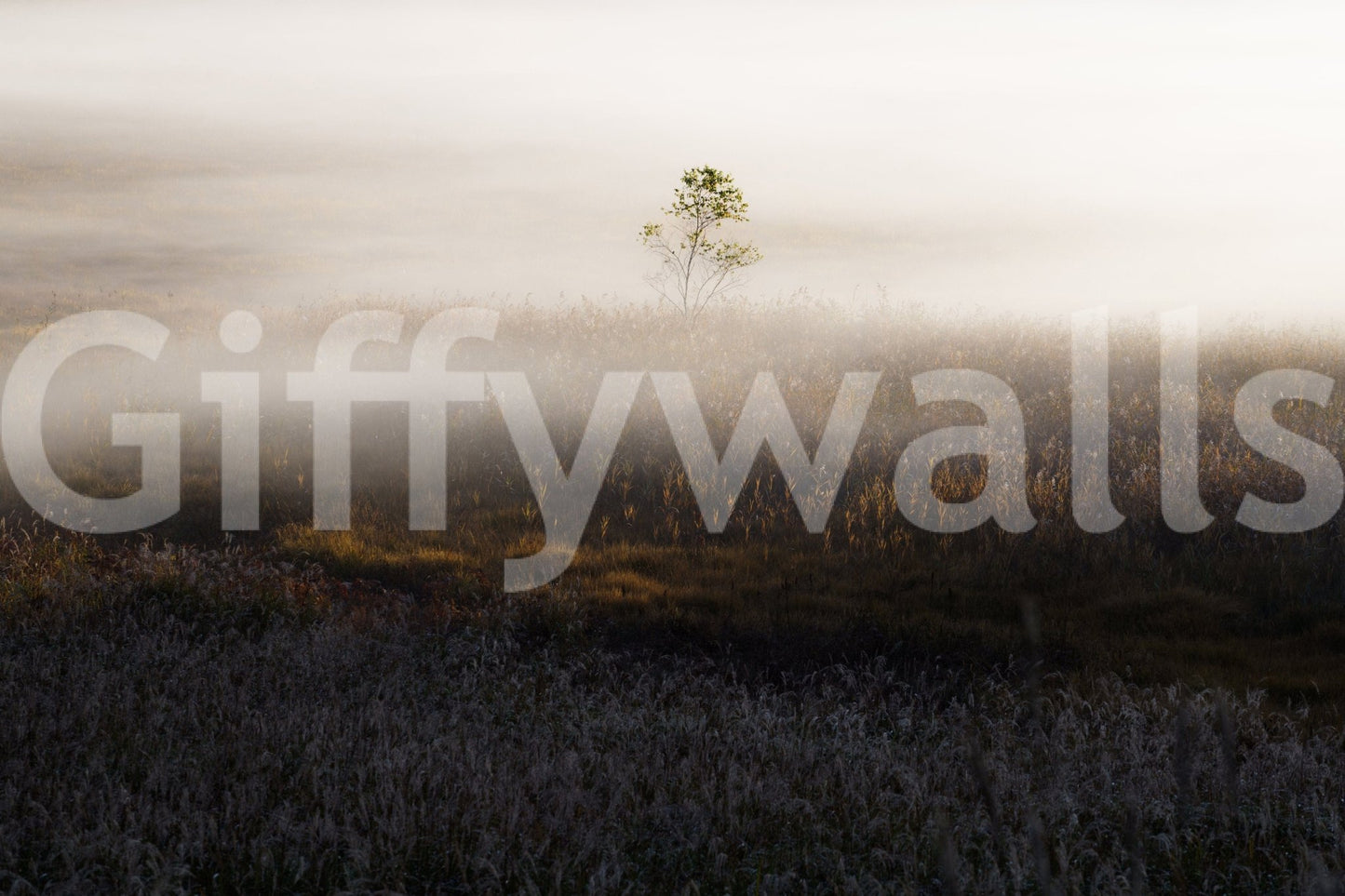 Rustic Misty Dawn Meadow peel and stick mural serenity