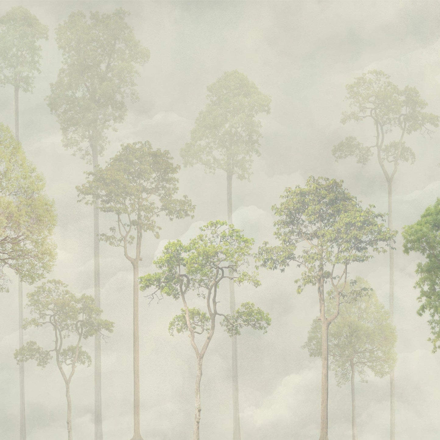 Misty Forest Wallpaper