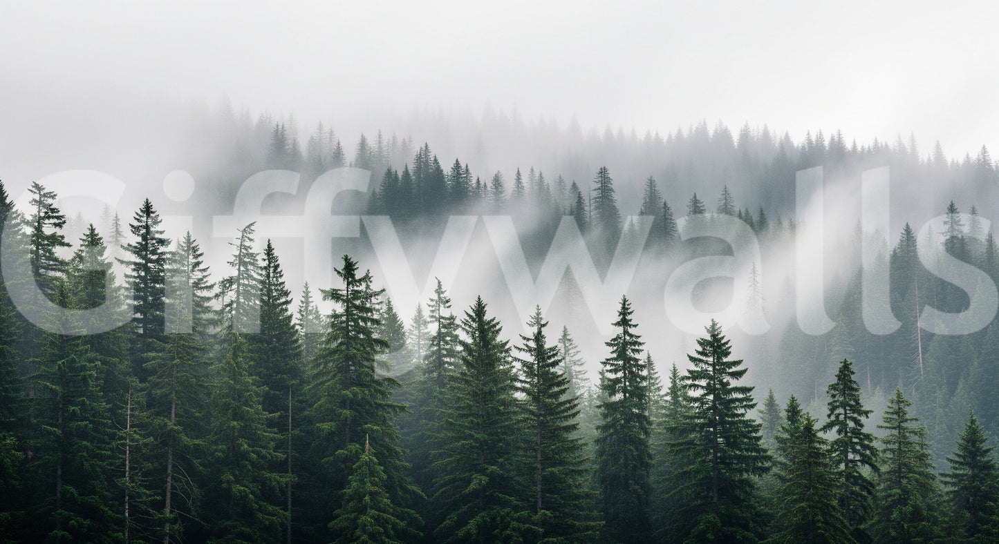 Soft focus woodland haze wallpaper for a minimalist feature wall.