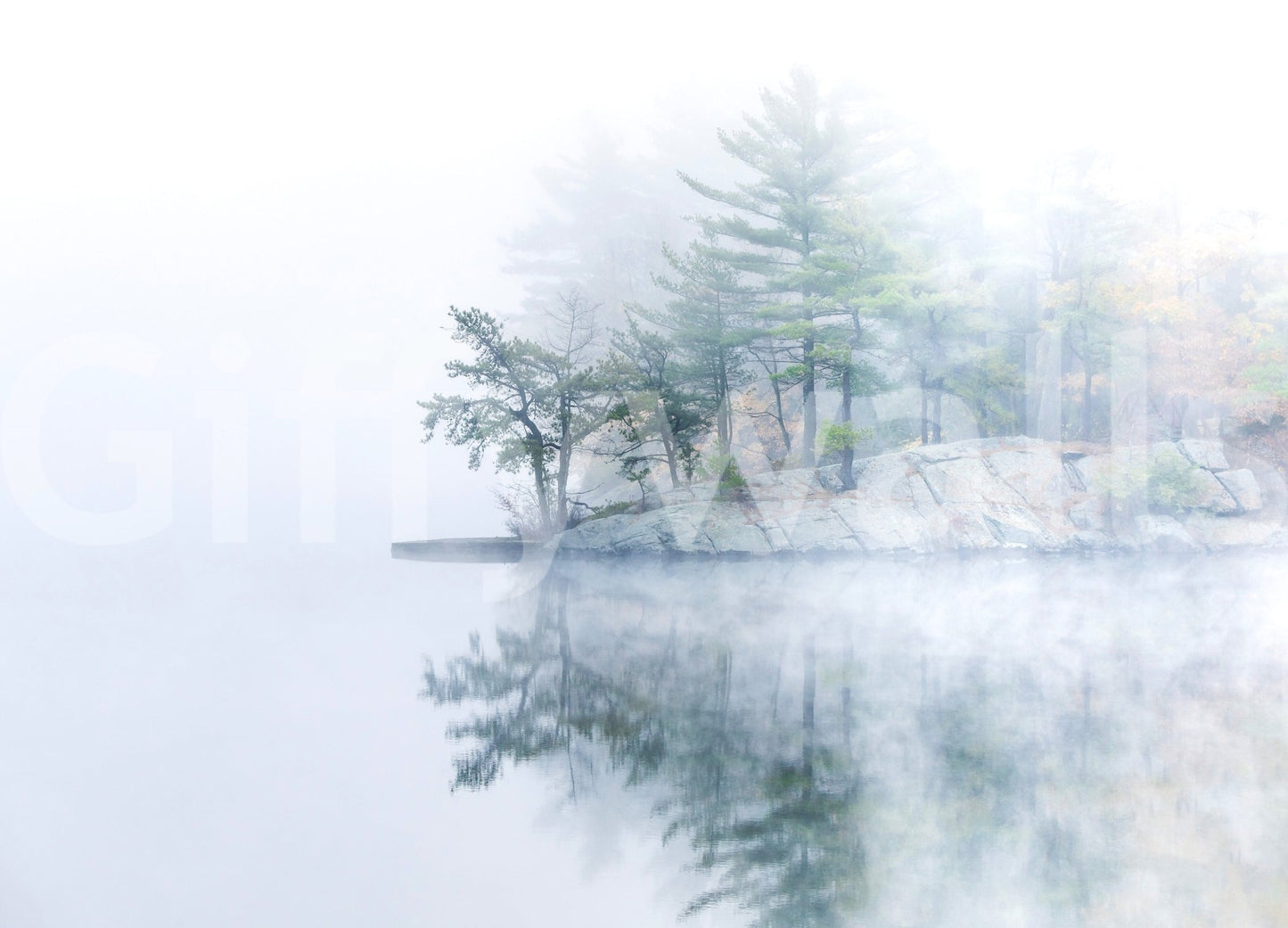 Misty Lake Serenity Woodland wallpaper featuring peaceful fog over water and trees.