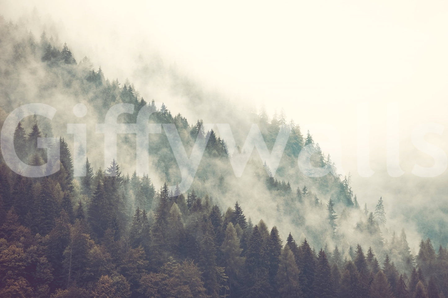 Misty Mountainside Wall Mural