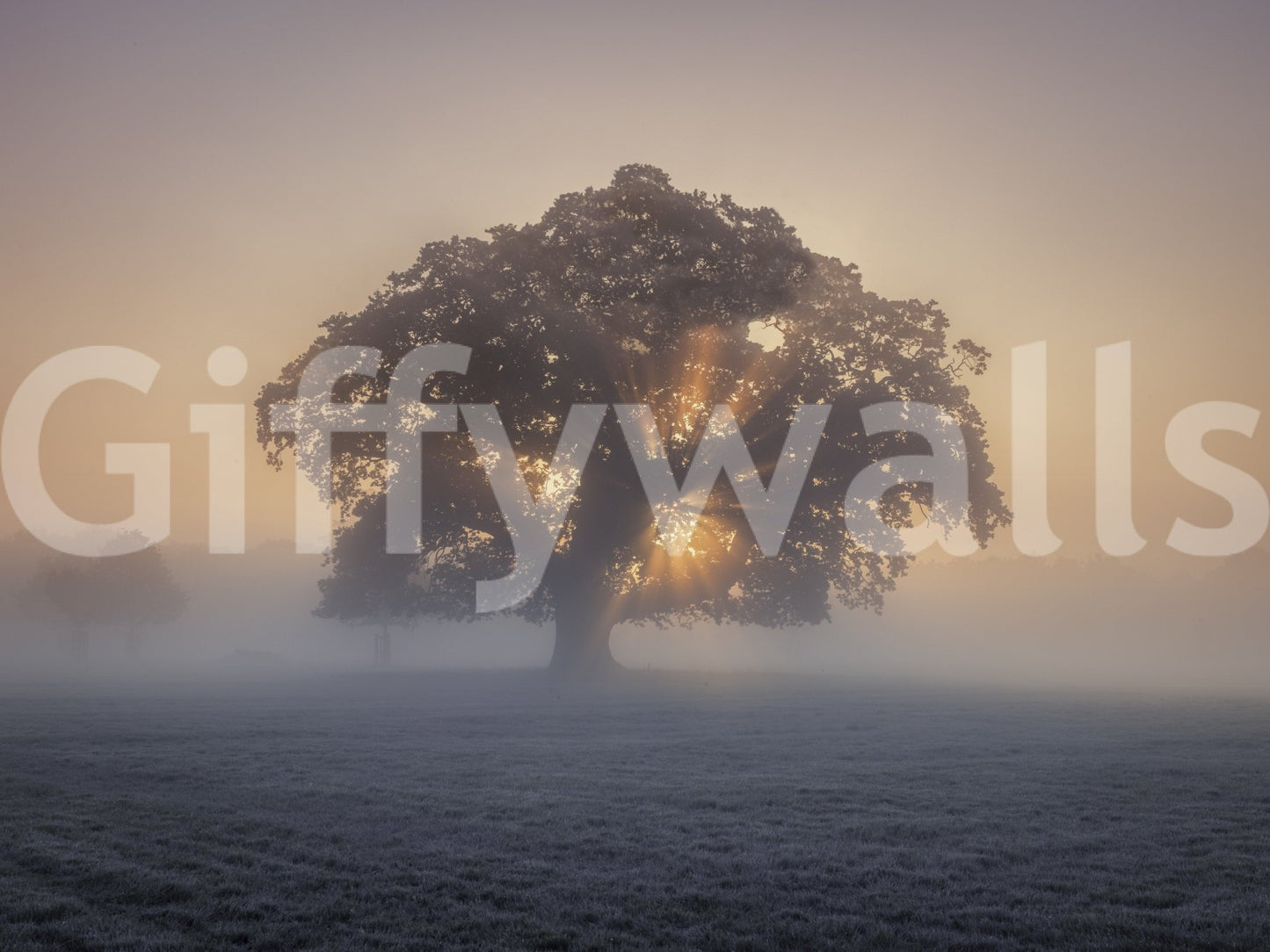 The image is a high-quality photograph.