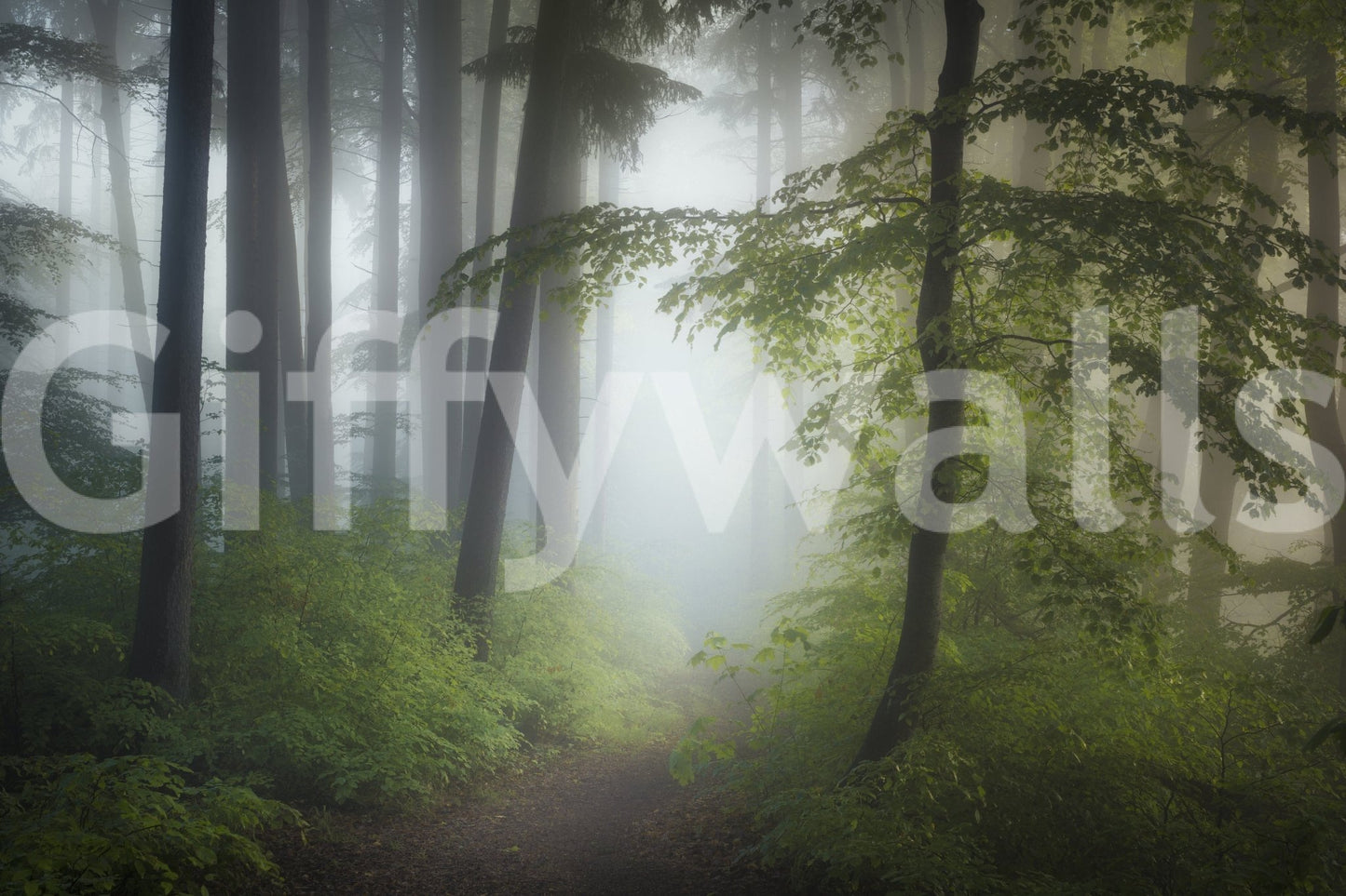 Misty Woods Escape Wall Mural