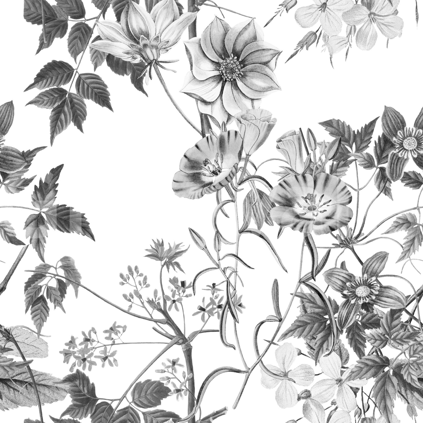 Neutral botanical wallpaper with fine floral outlines and balanced surface