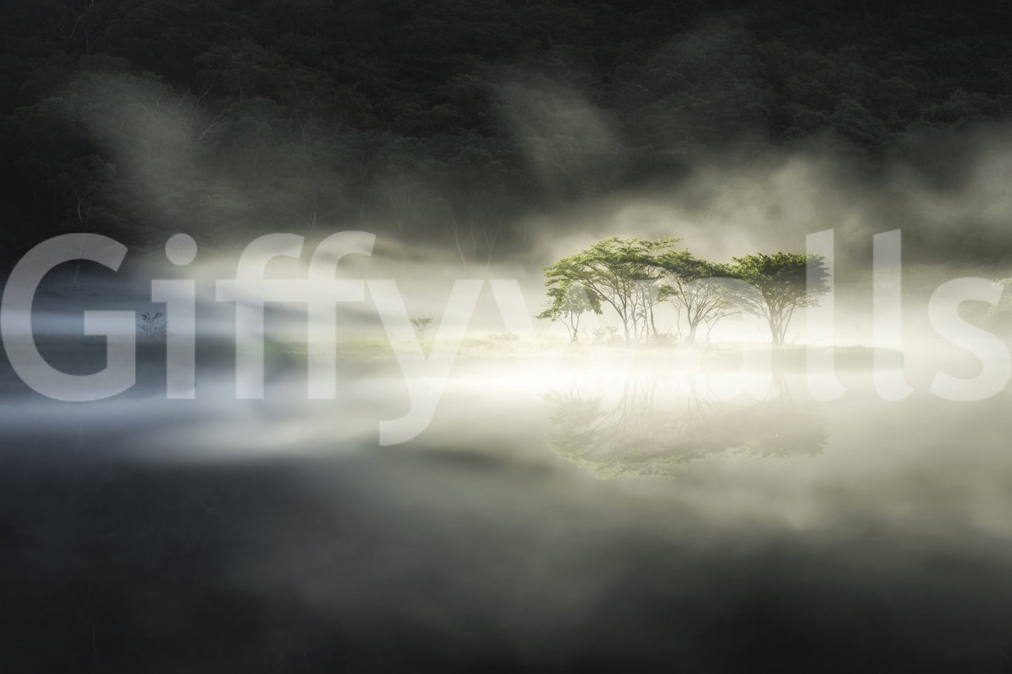 Dreamy foggy environment Woodland Veil home interior wallpaper.