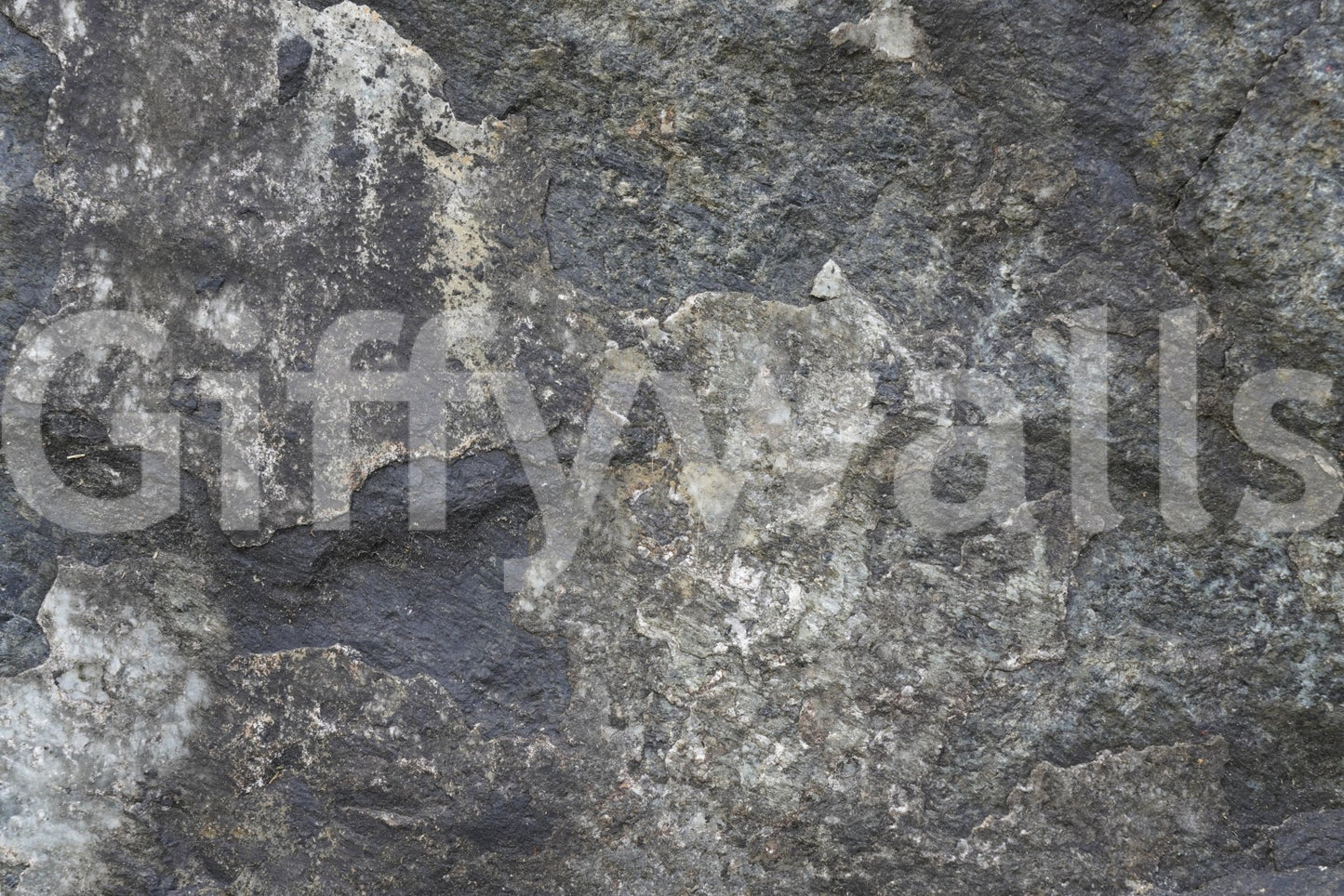 Natural stone look mural for a peaceful yoga space with green plants.