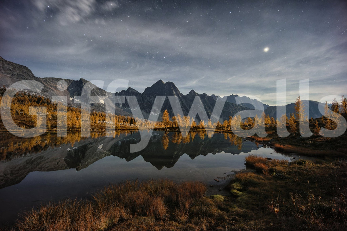 Minimalist nocturnal nature mural for an urban flat's hallway or entrance.