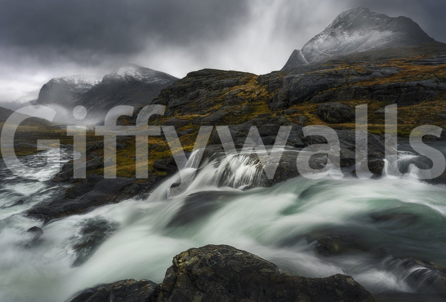 A high-quality abstract print wall mural for walls.