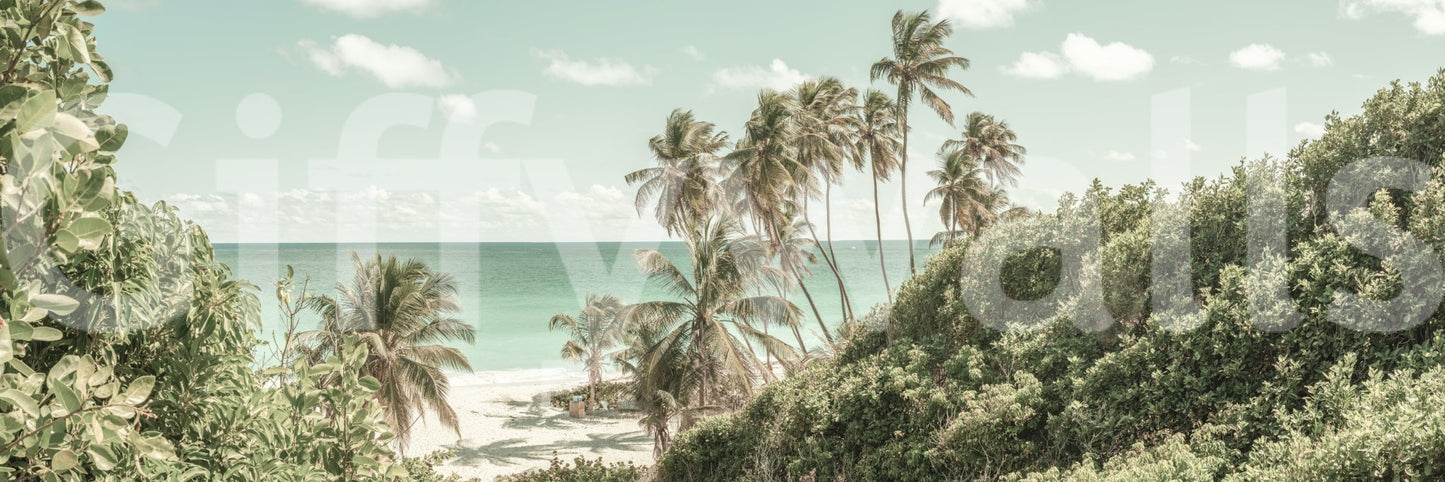 A high-quality tropical foliage wall mural for walls.