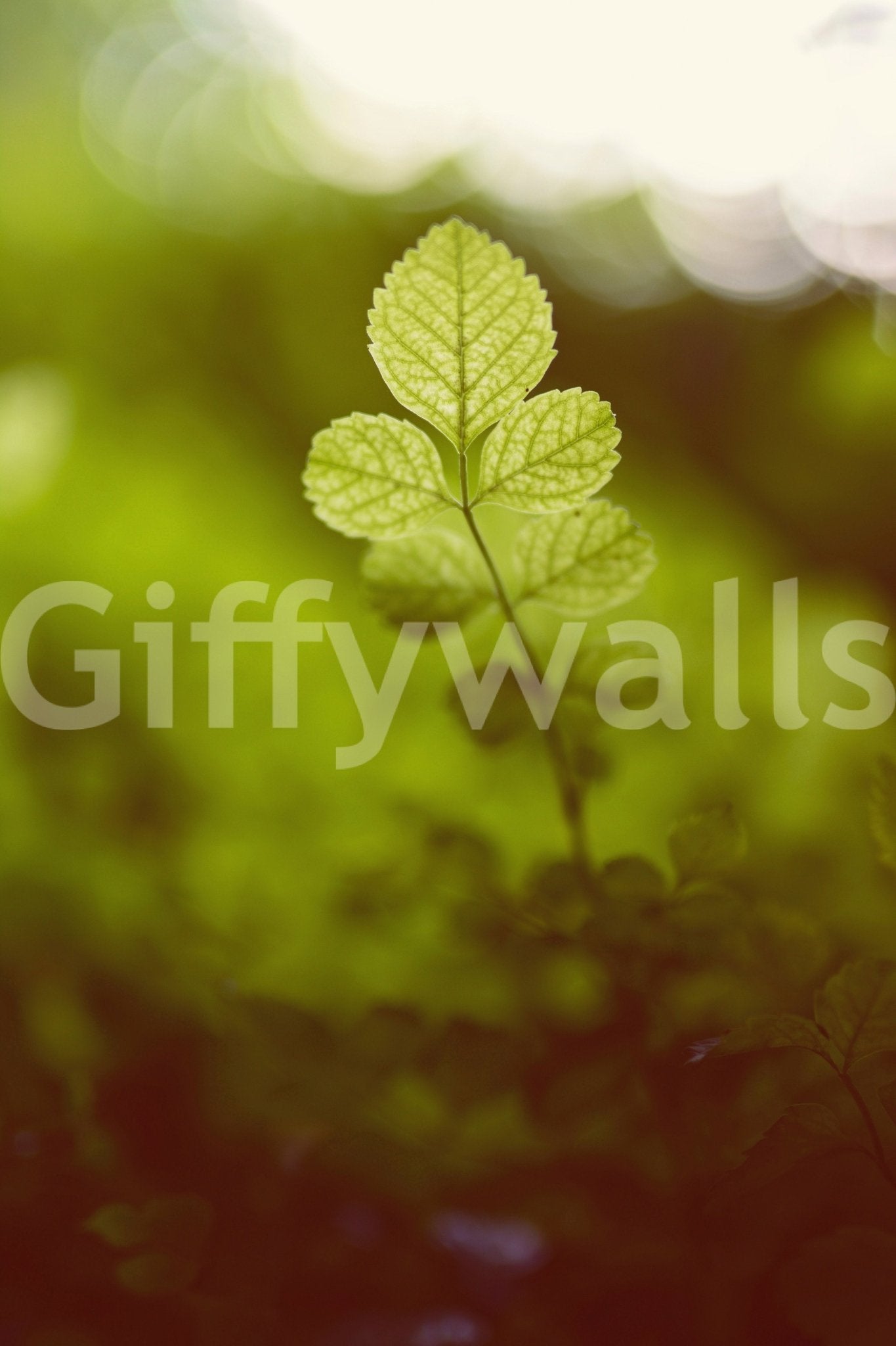 Out of the green Wall Mural