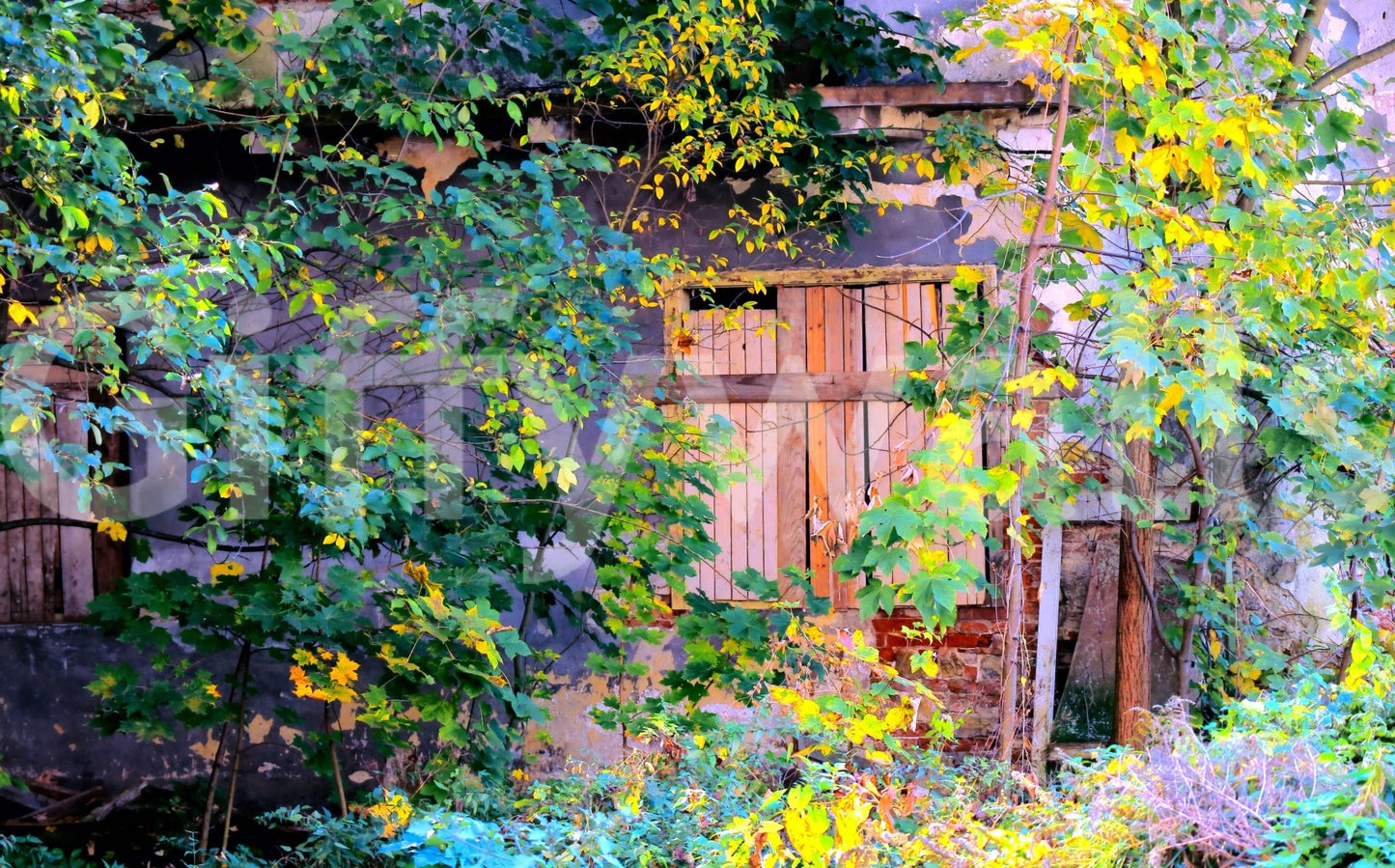 Artistic landscape wallpaper with realistic shadows and organic plant growth.