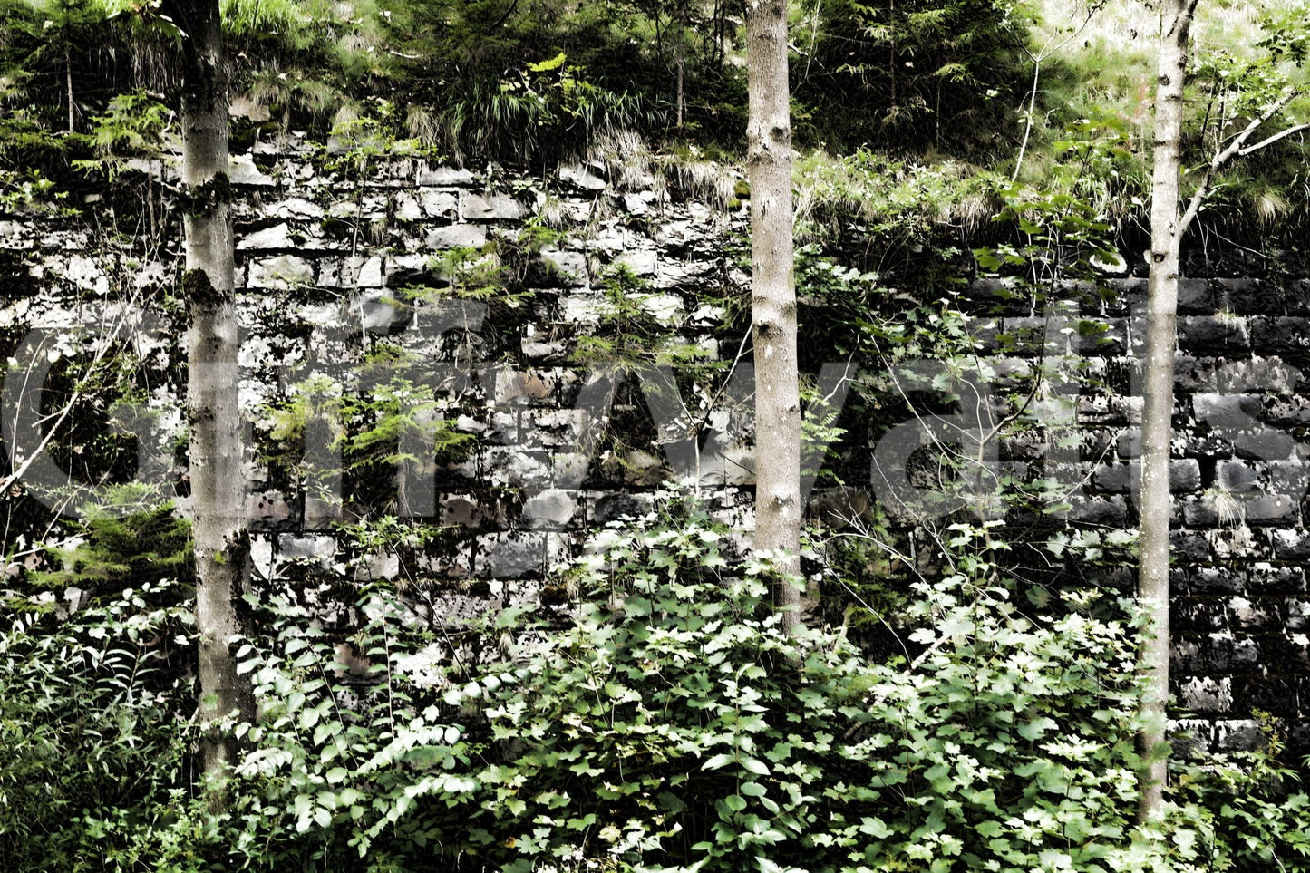 Artistic ruins wallpaper for a creative studio or professional workspace.