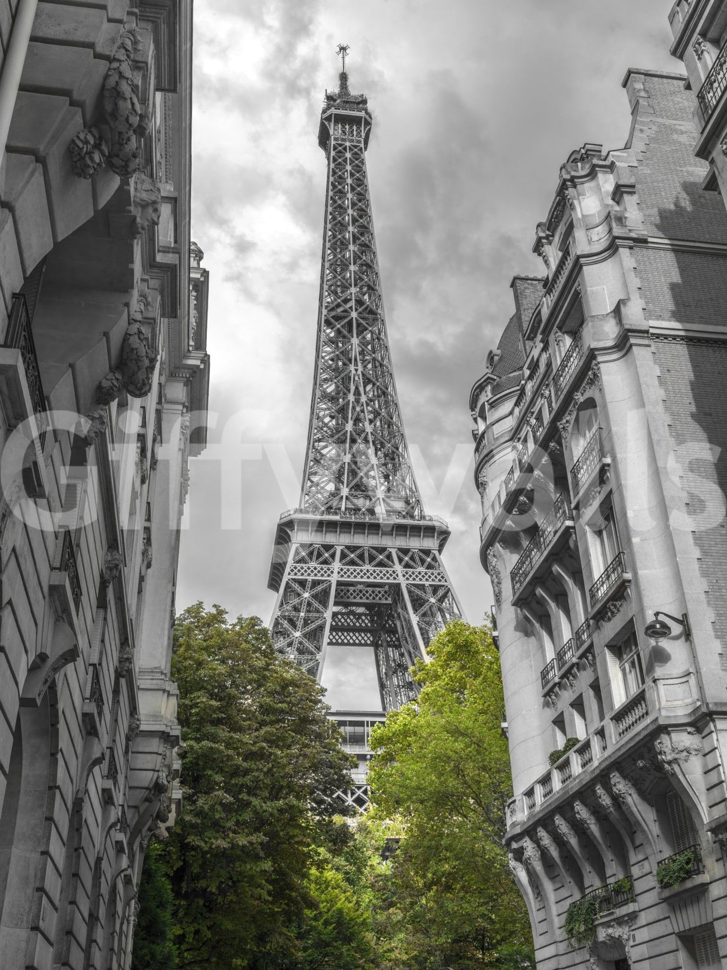 The image feels bold and elegant.