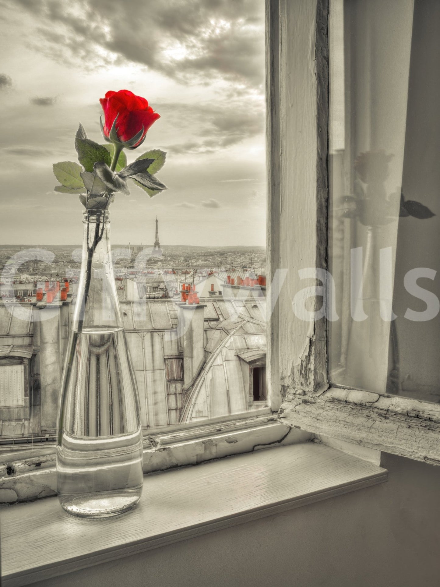 Parisian Bloom mural with muted background and red bloom detail, GD8769