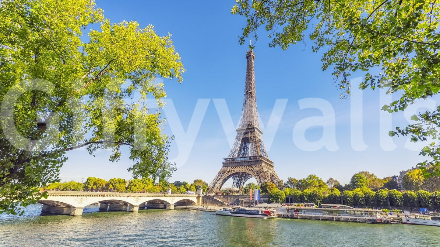 Parisian Majesty Wall Mural