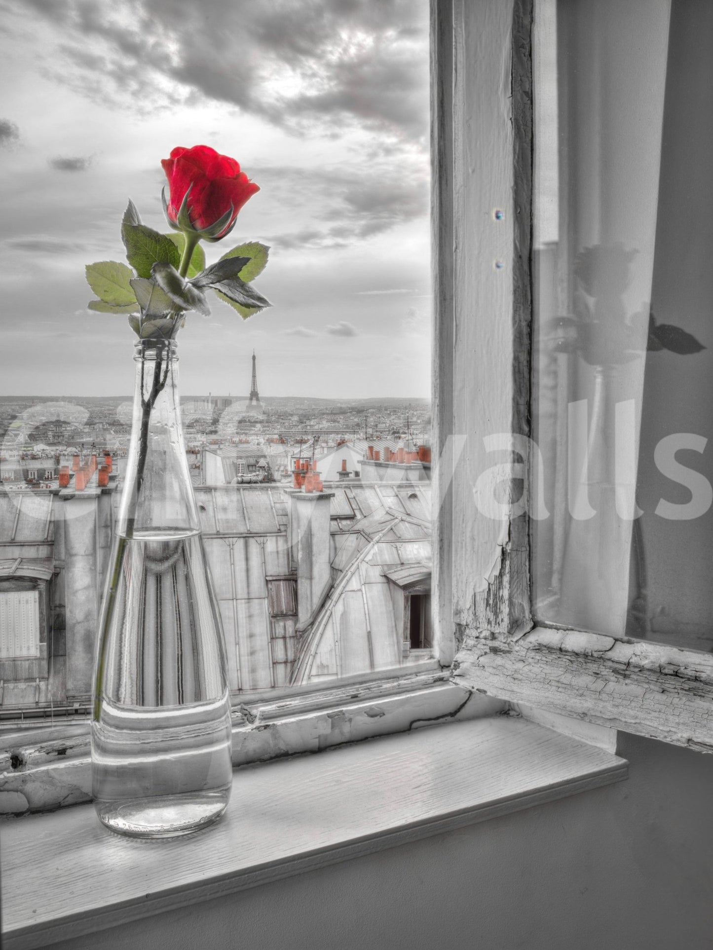 Parisian Romance Wall Mural