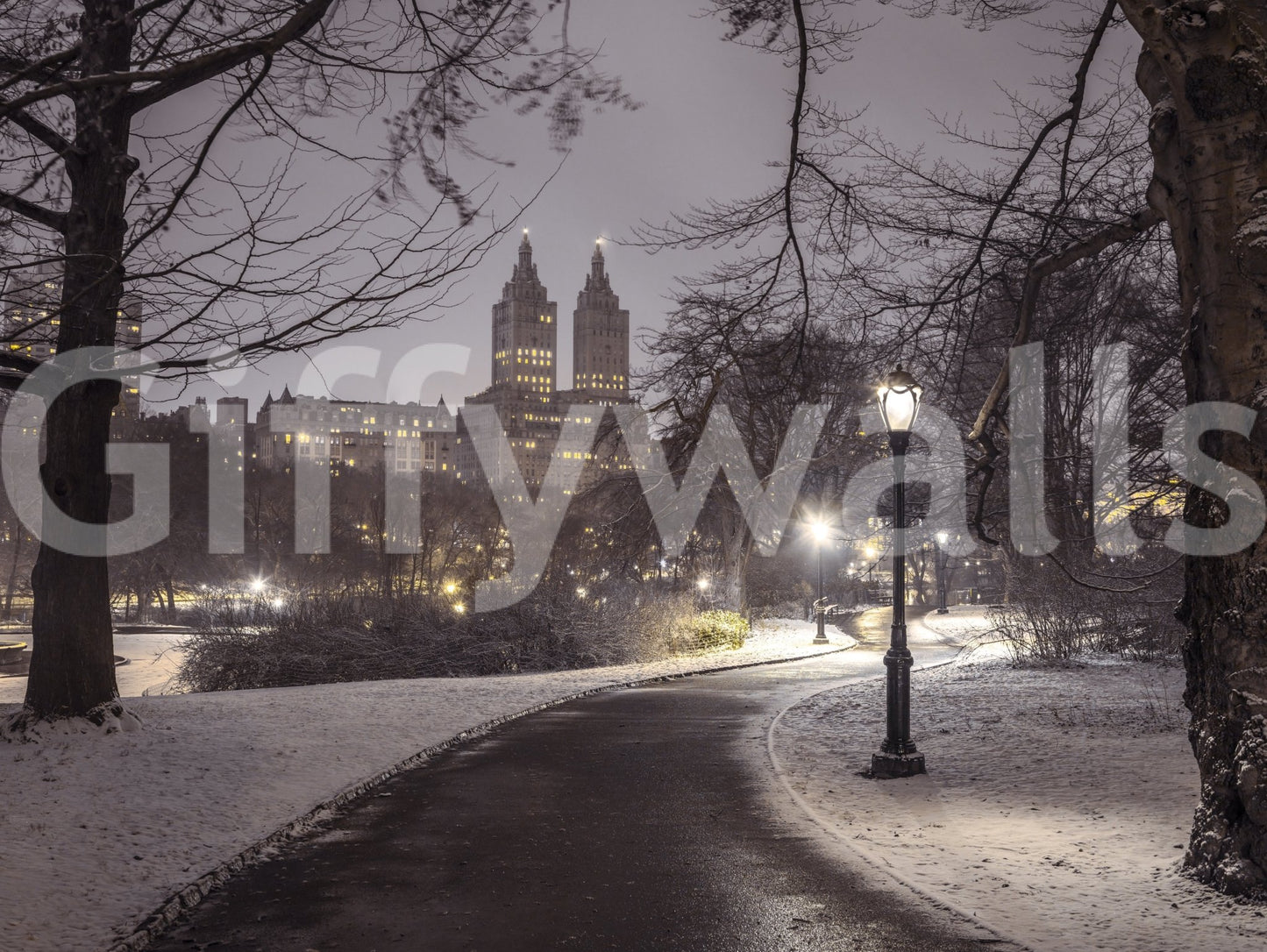 Minimalist decor concept, Park Path at Night perspective.