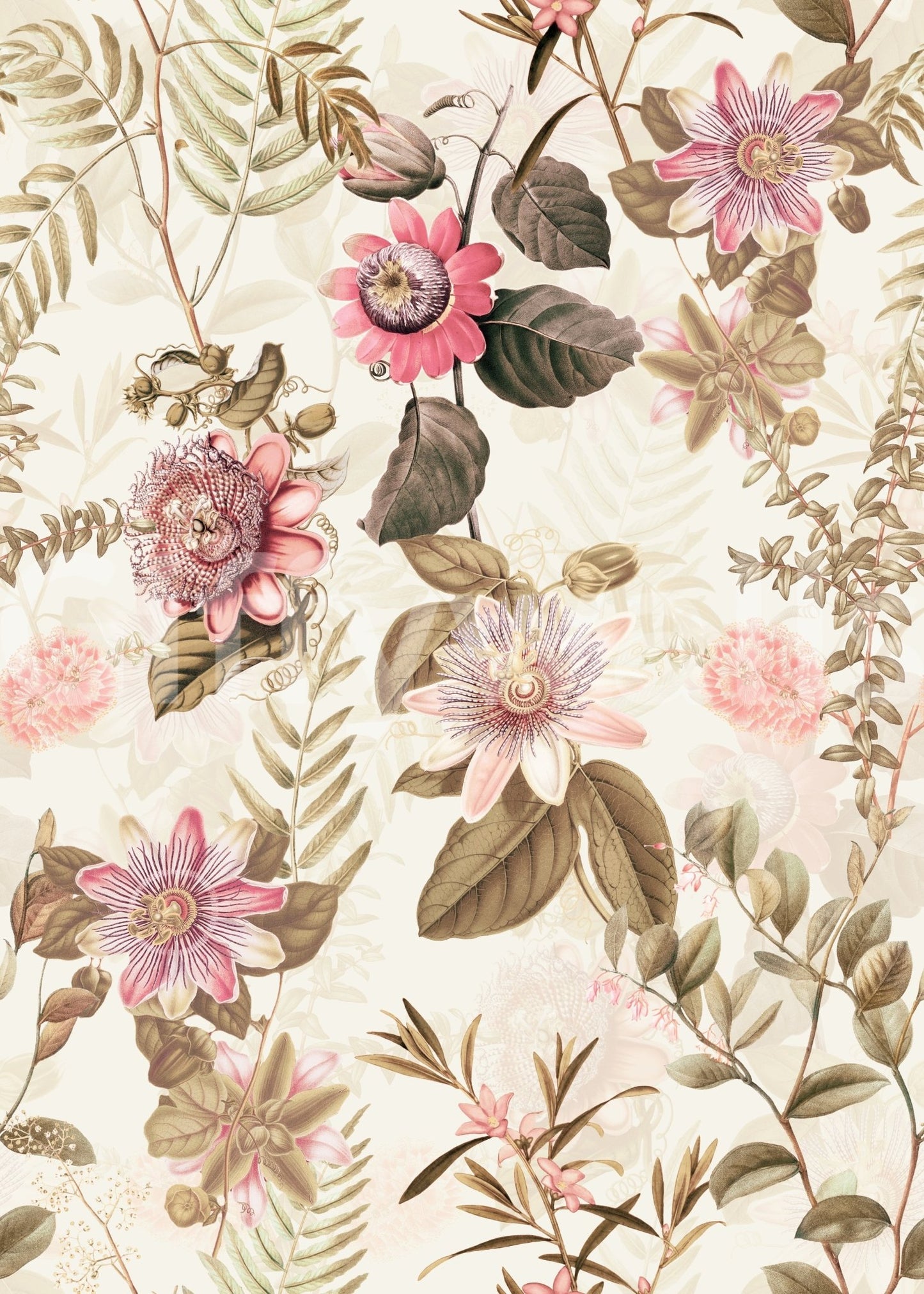 Passionflower Paradise 1 Wallpaper