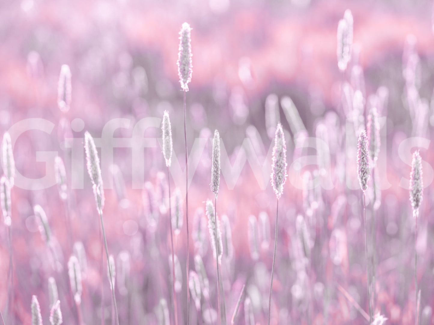 Feminine floral wallpaper with soft wild stems, GD2653