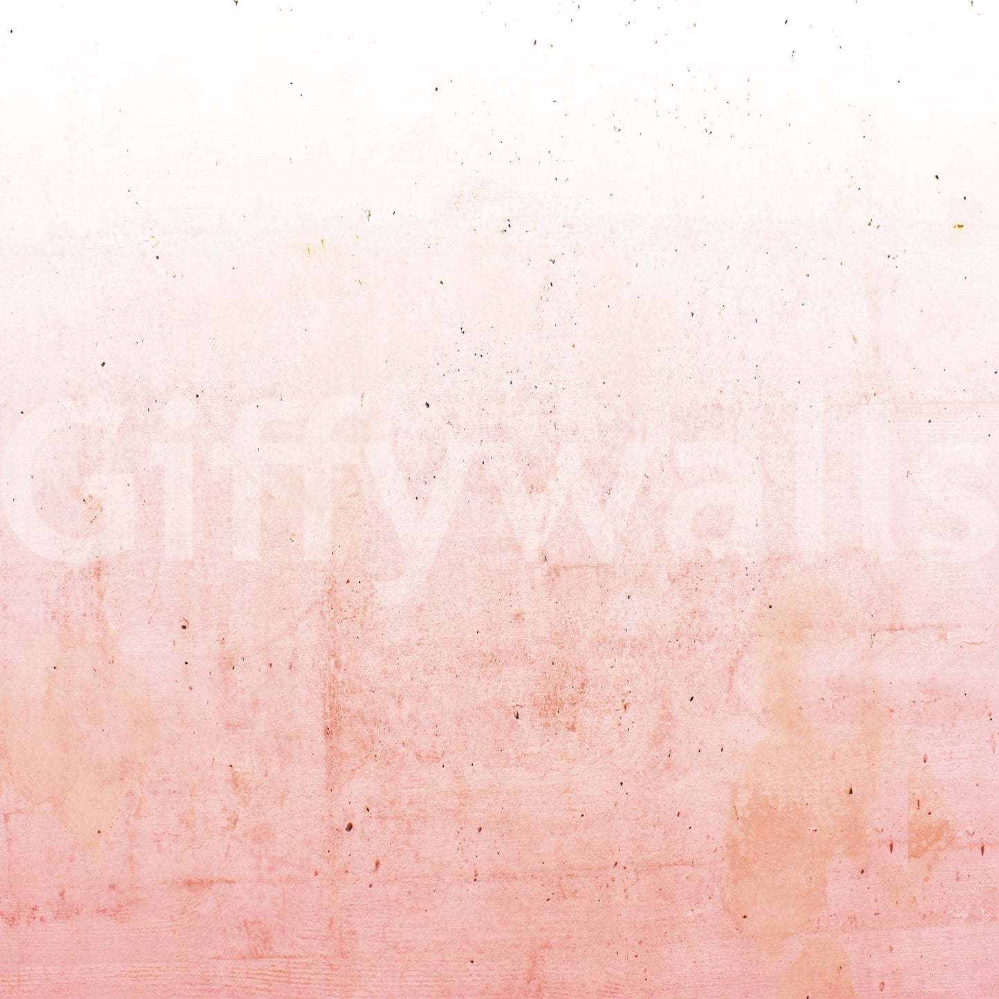 Pink Ombre on Concrete Wall Mural