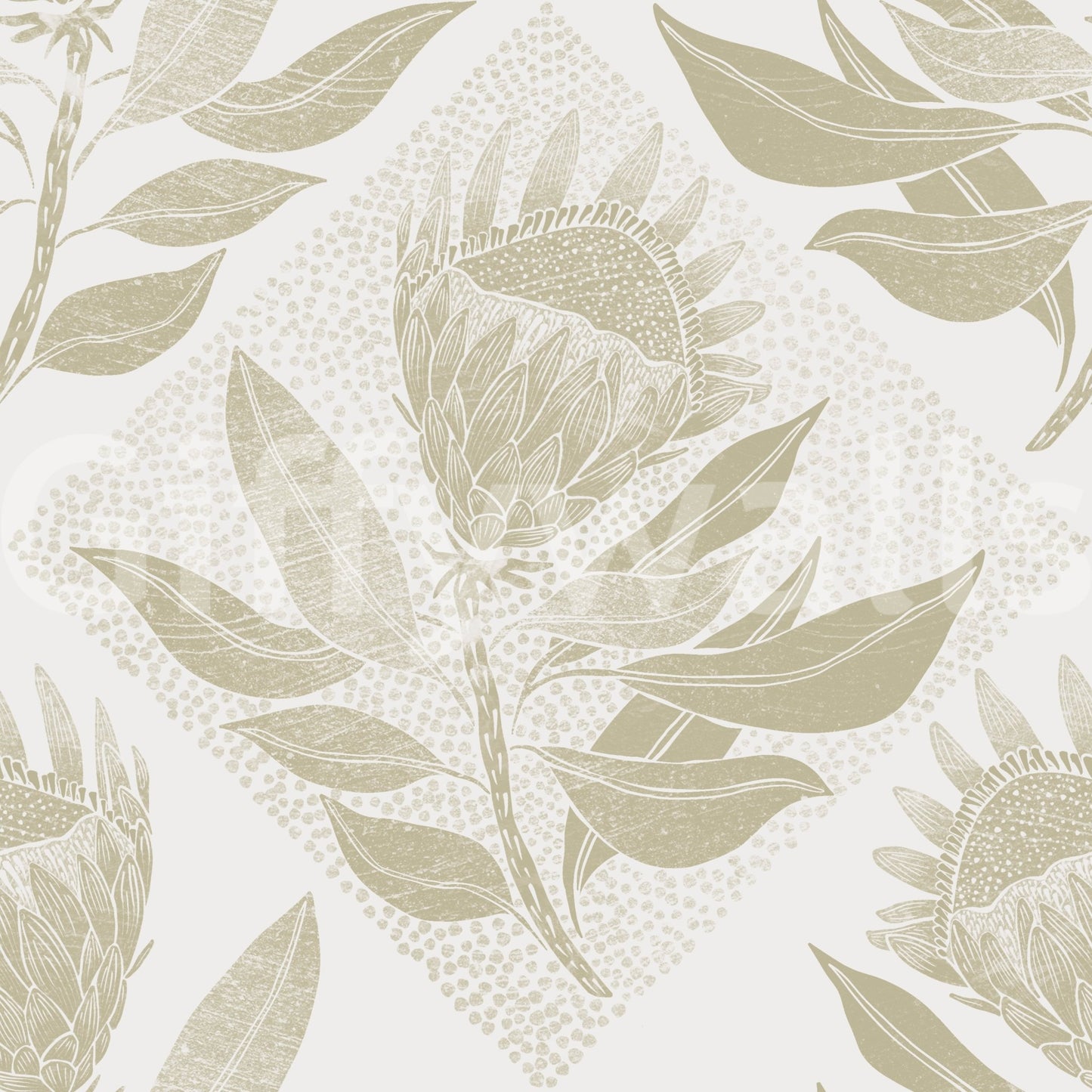 Stylish protea flower wall mural