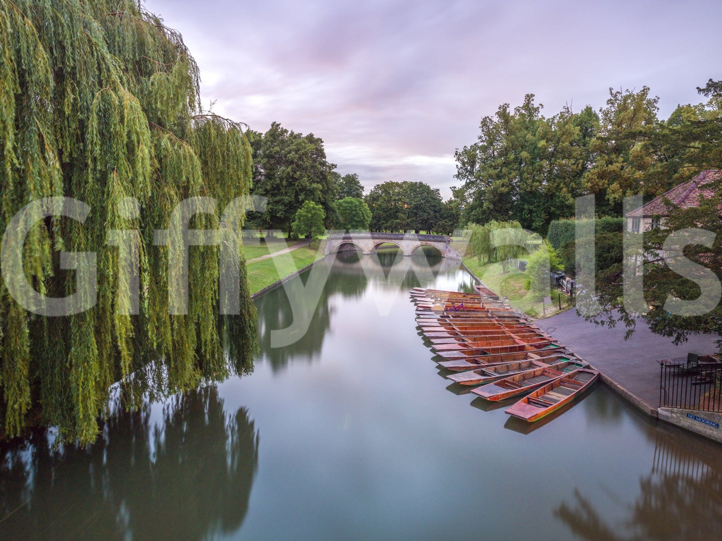 The image feels peaceful and restful.