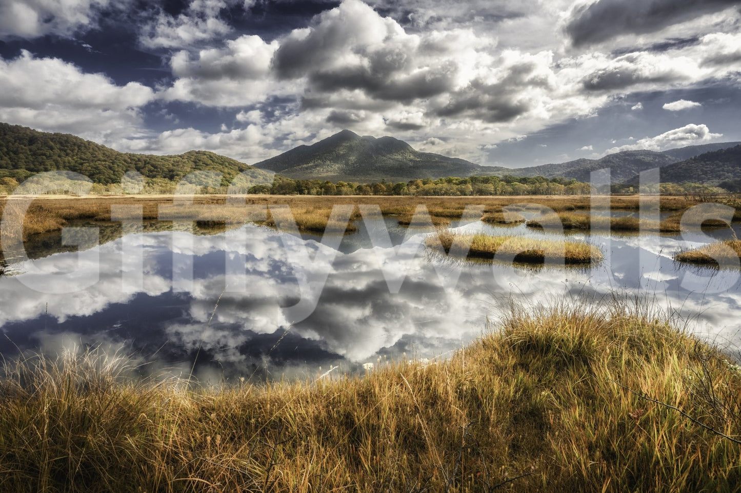Reflected Vista Wall Mural