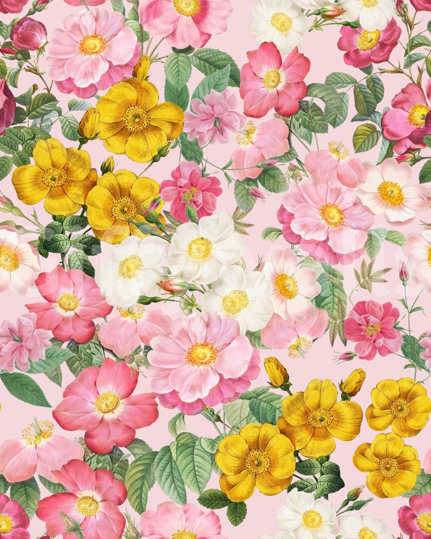 Romantic Rose Garden 1 Wallpaper