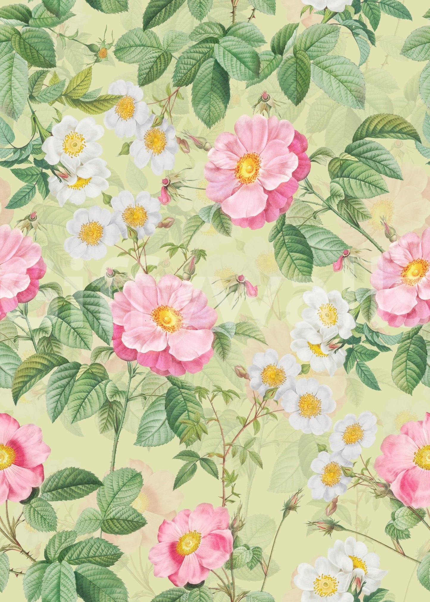 Rose Garden Reverie 1 Wallpaper