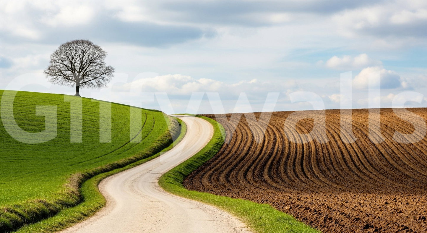 A high-quality serene country wall mural for walls.