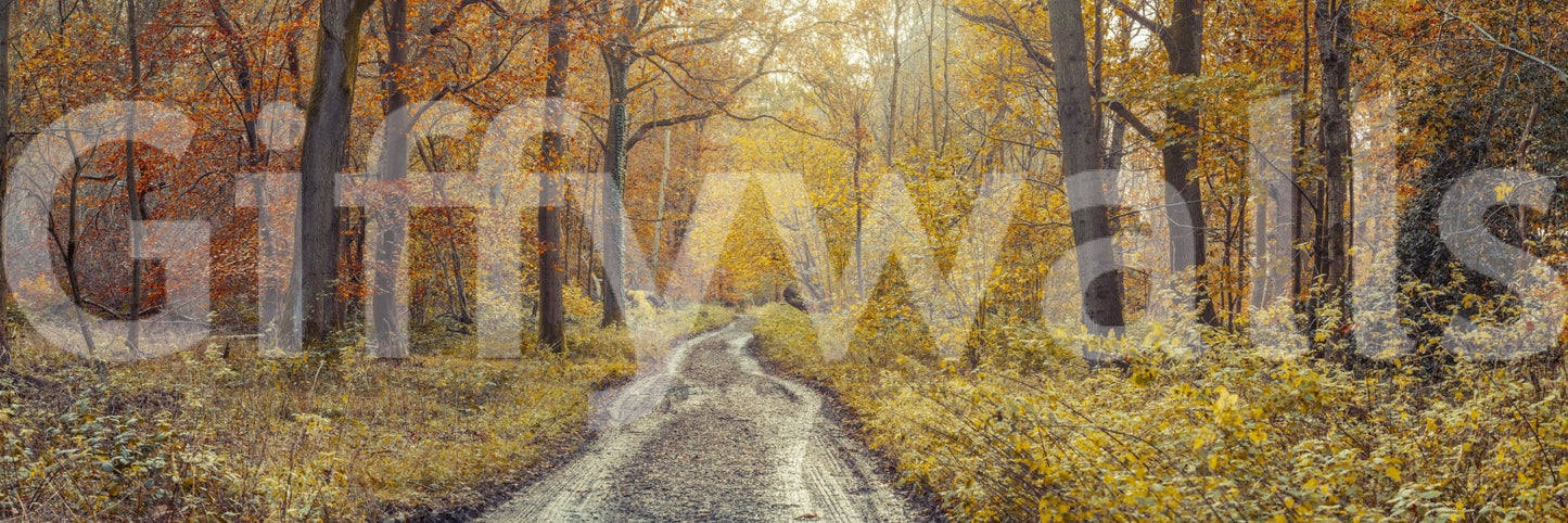 Grounded and calming aesthetic.