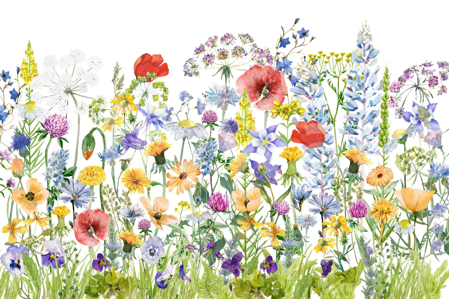 Scandinavian Watercolor Meadow Poppies with Colorful Wildflowers Wall Mural