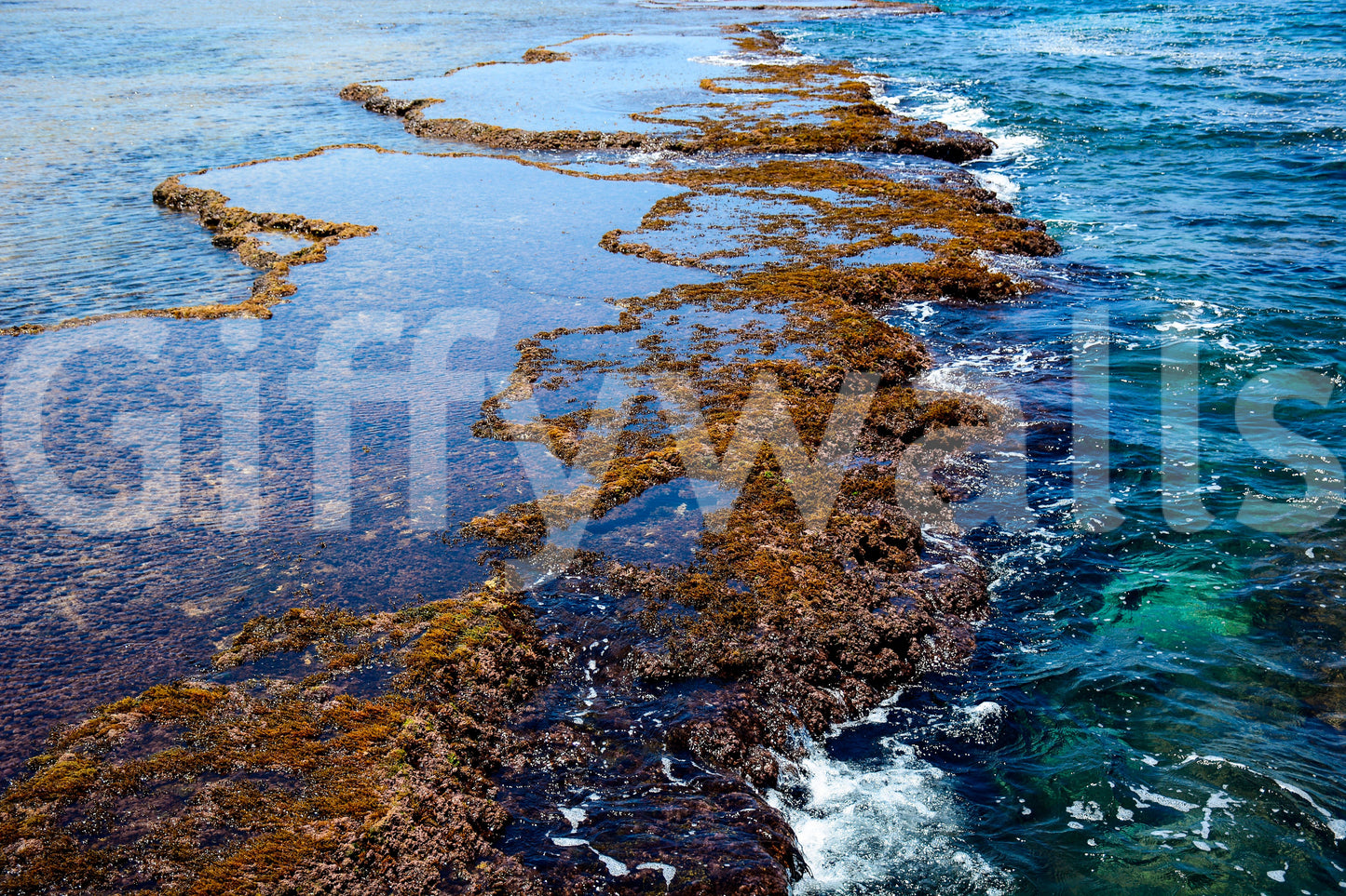 Sdot Yam beach #3 Wall Mural