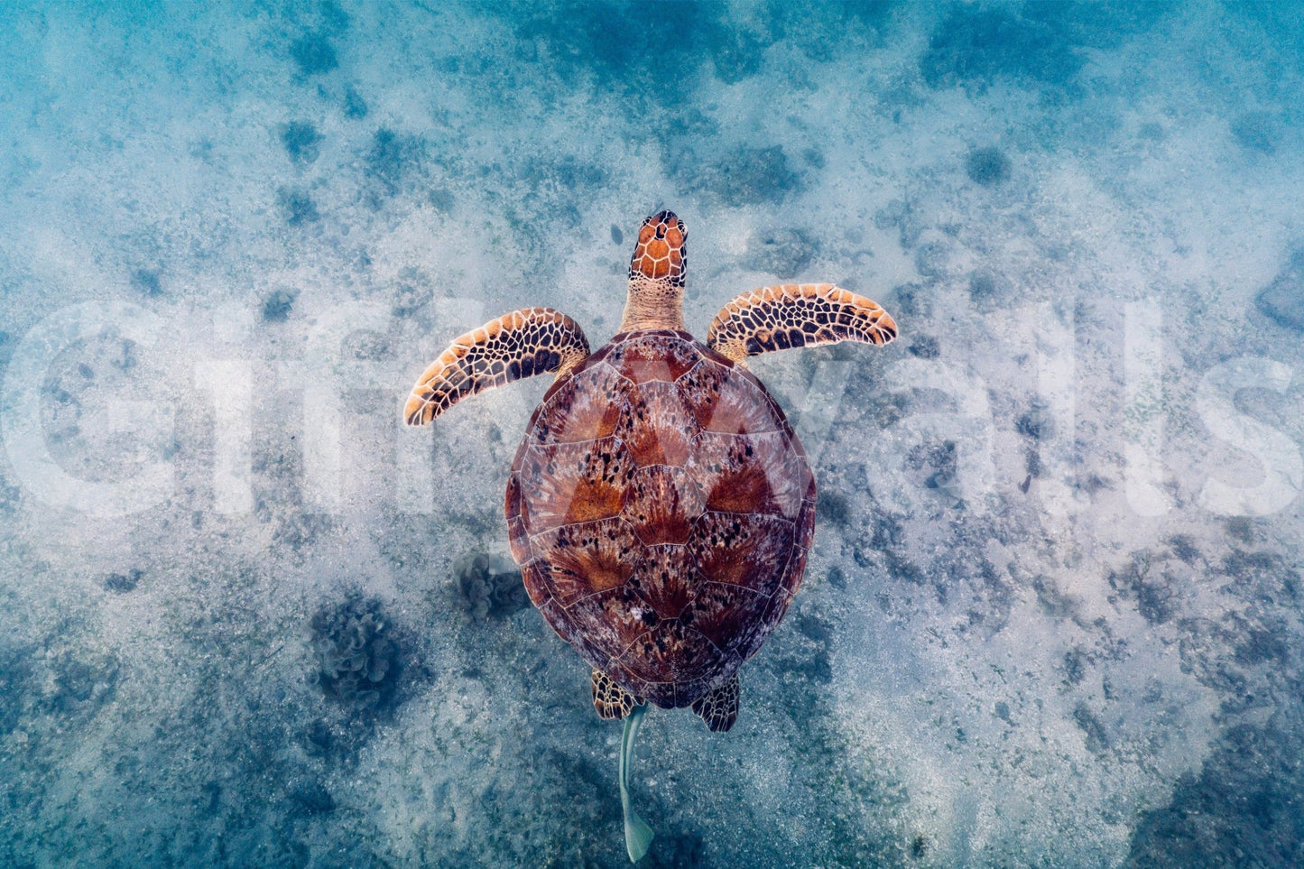 A high-quality abstract print wall mural for walls.