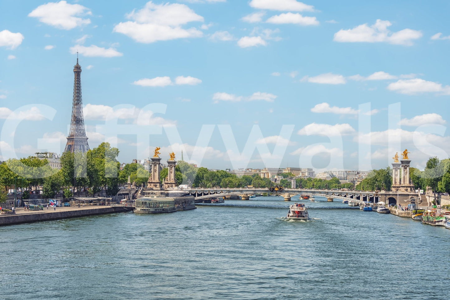 Seine Reflections Wall Mural