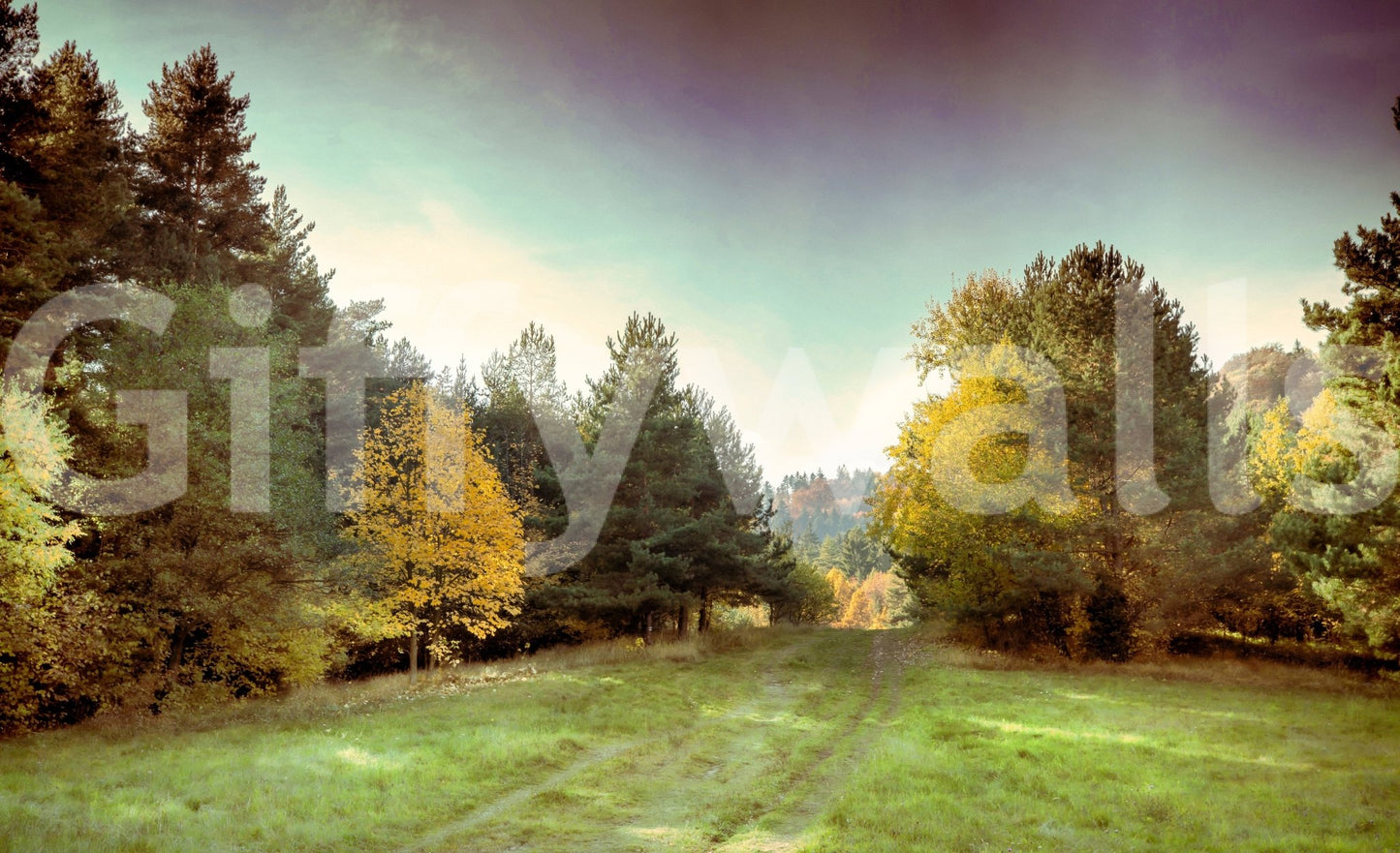 Provides a graceful and artistic backdrop.