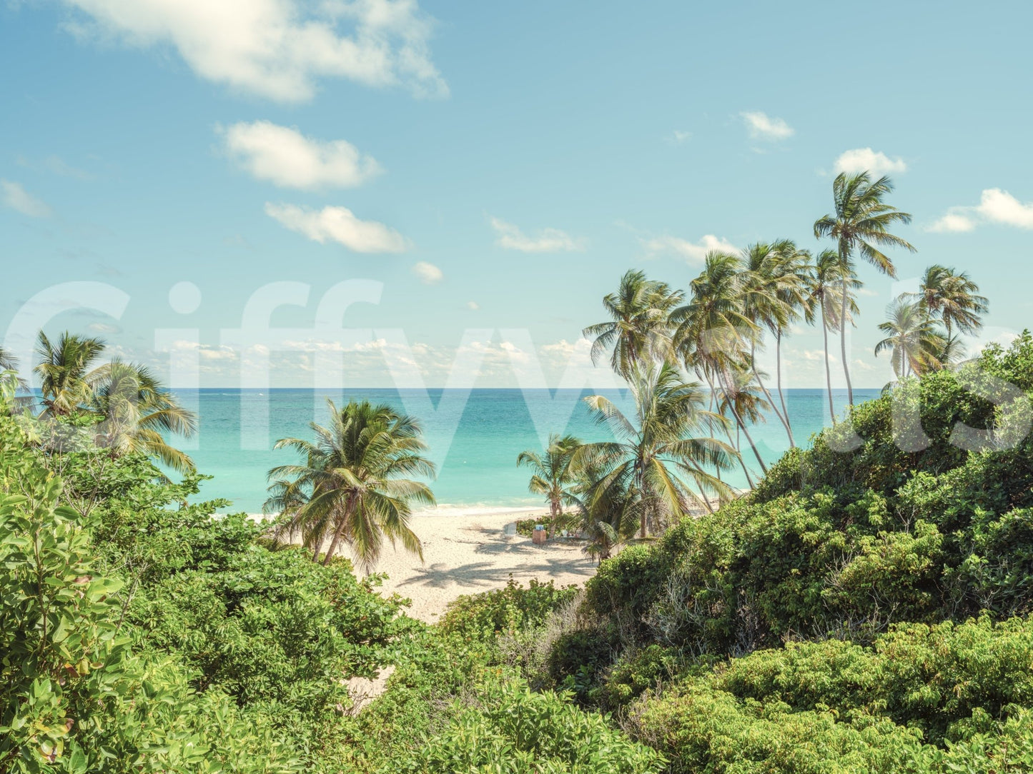 Serene Coastal Paradise Wall Mural with palms, sandy shore and turquoise sea view