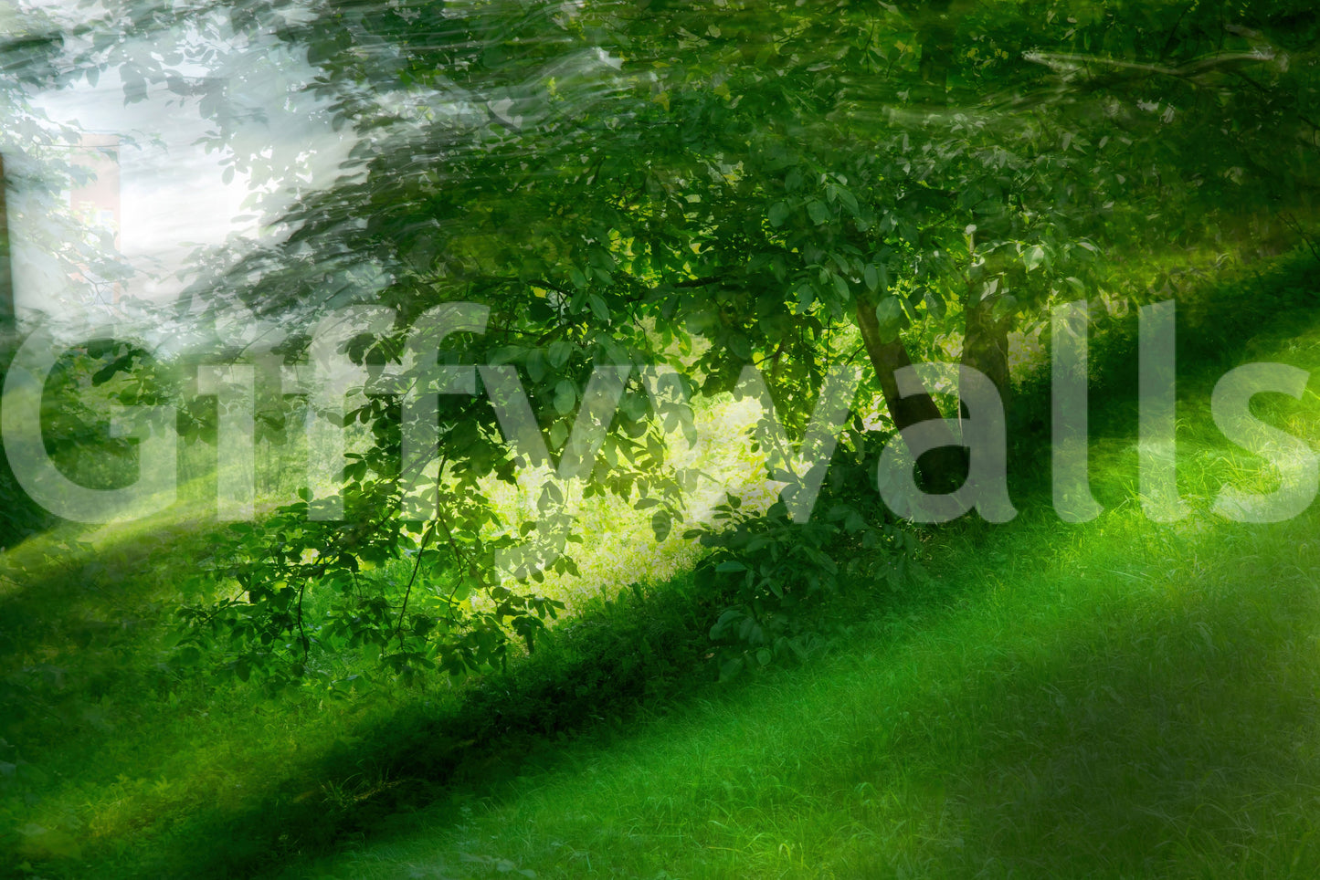 Serene Green Landscape Photography - Tranquil Tree and Lush Grass Scene Wall Mural