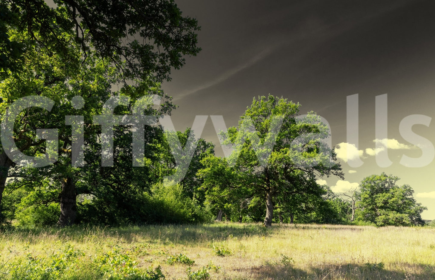 The Majestic Trees mural gives the space a classic and natural feel.