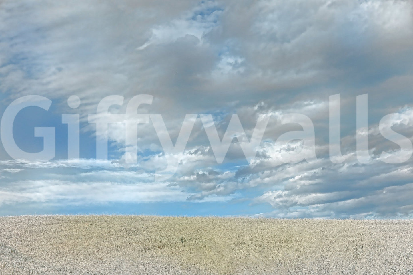 The Rolling Fields mural gives the space a classic and natural feel.