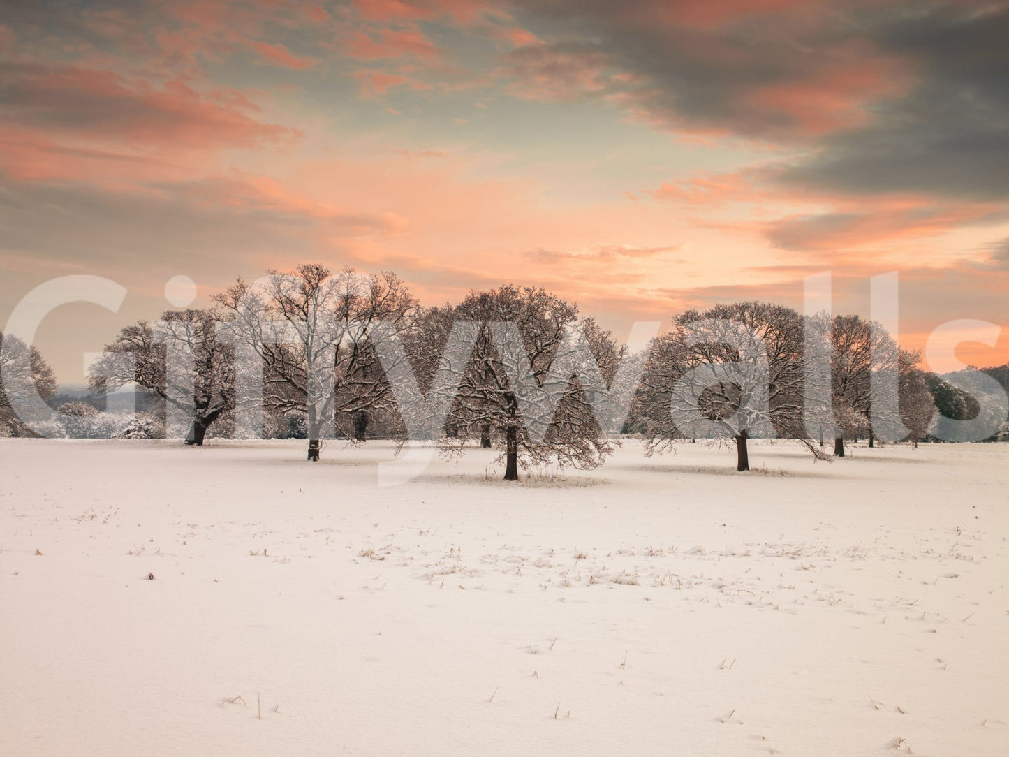 Snow Covered Field snowfall scenic view blissful setting wall art