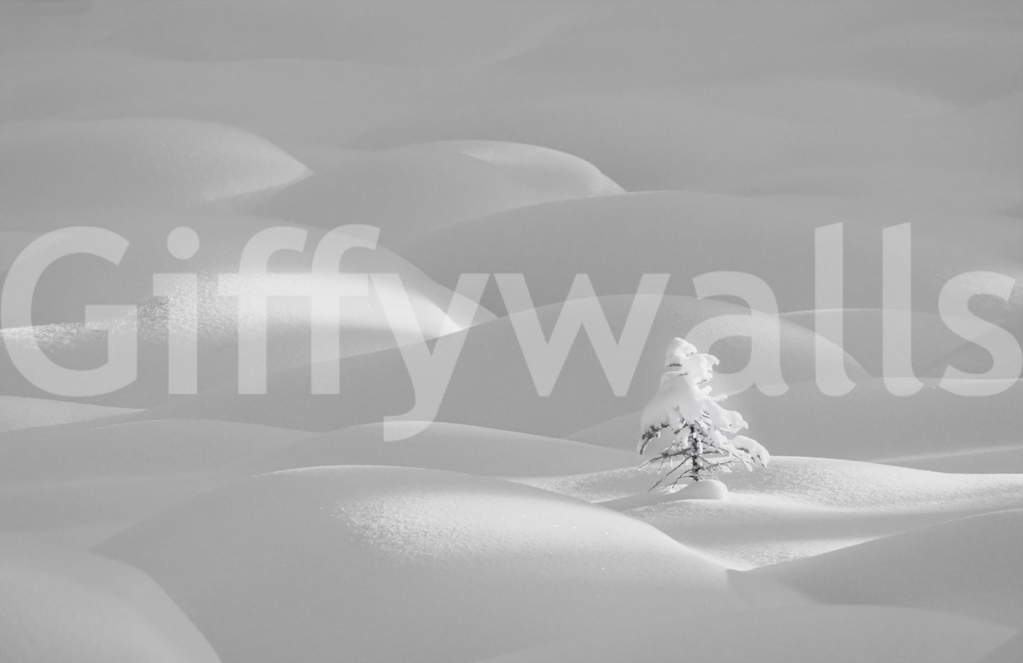 A high-quality minimalist wall mural for walls.