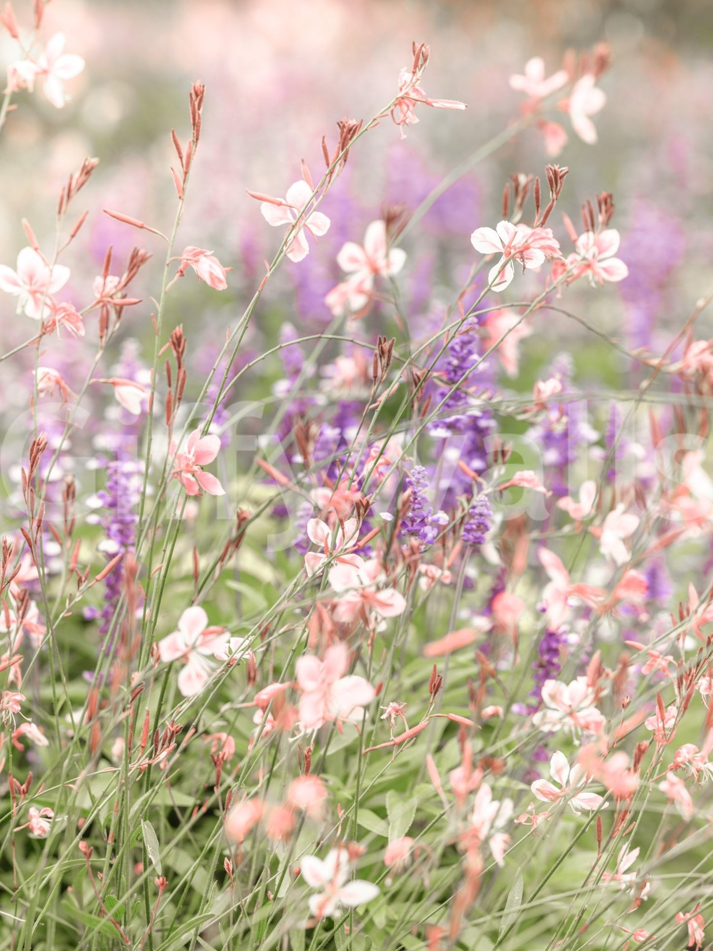 Watercolor-style mural in soft shades