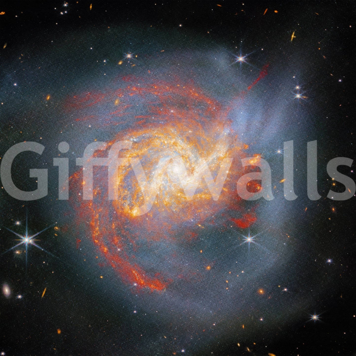 Stellar Canvas wall mural for a luxury flat feature wall.
